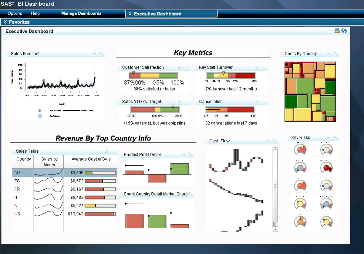 SAS Business Intelligence - InfoCleanse