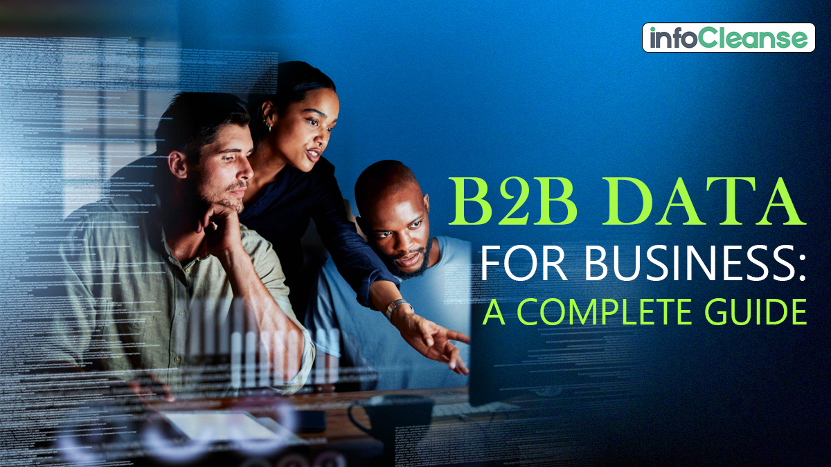 B2B Data for Business: A Complete Guide