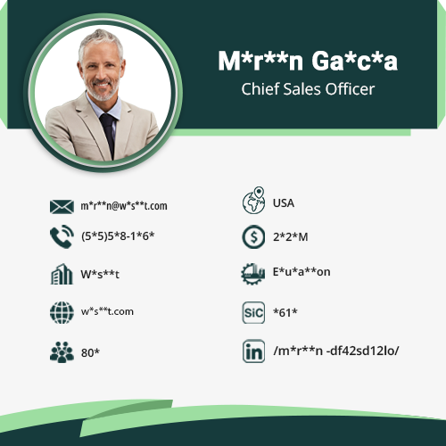 Chief Sales Officer Mailing List Data Card-1