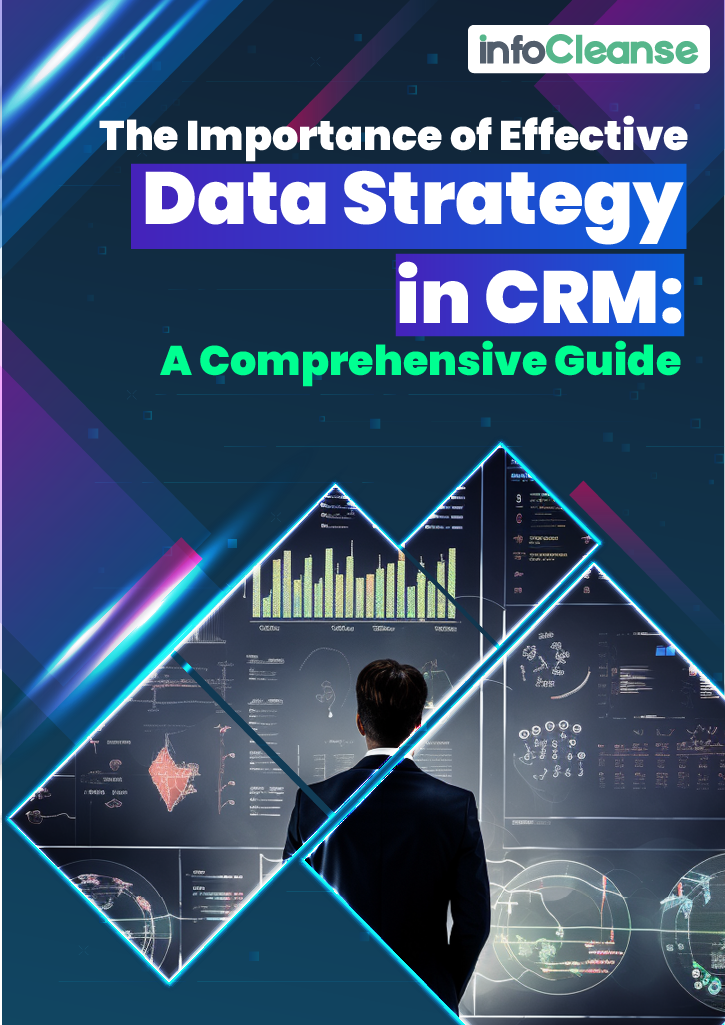 The Importance of Effective Data Strategy in CRM A Comprehensive Guide - LP -Banner