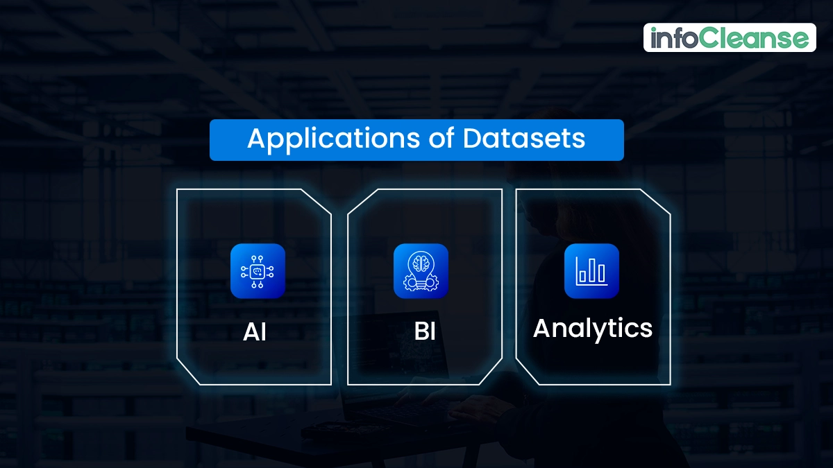 Applications-of-datasets