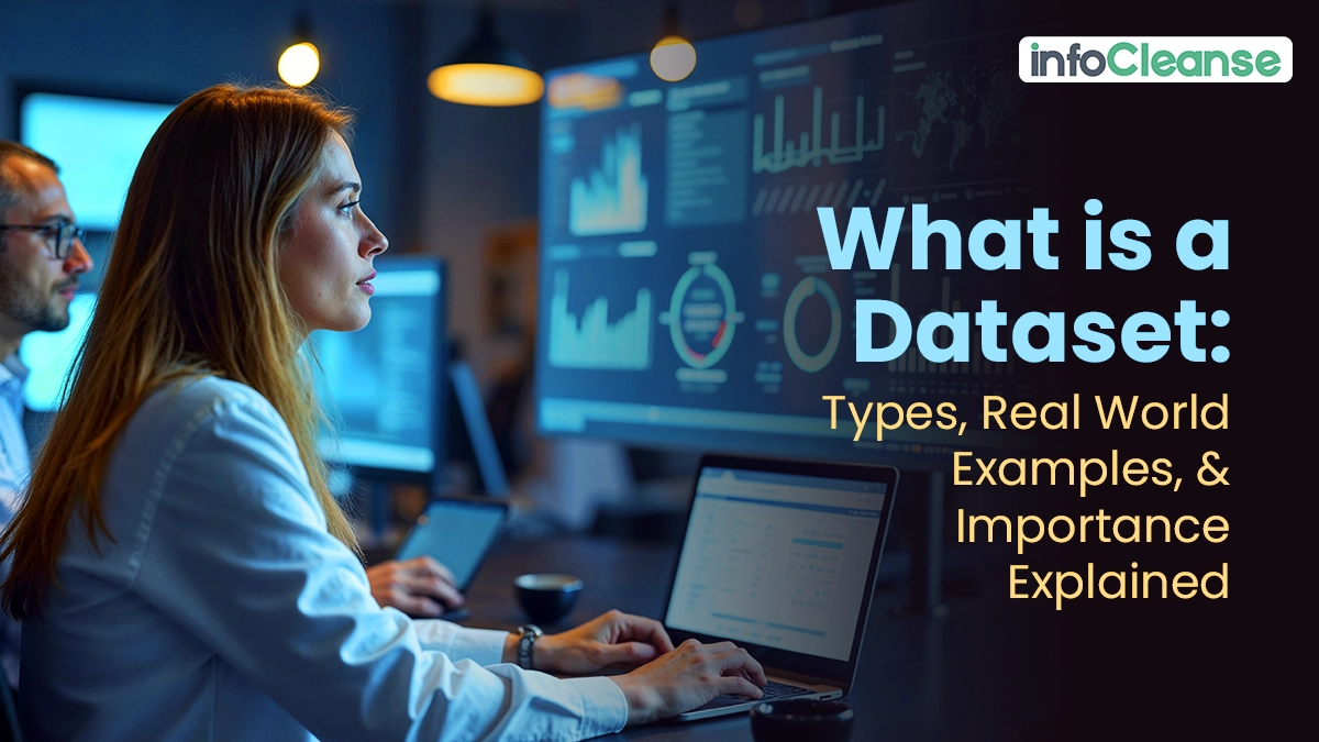 What is a Dataset Types, Real World Examples, and Importance Explained - Featured Banner